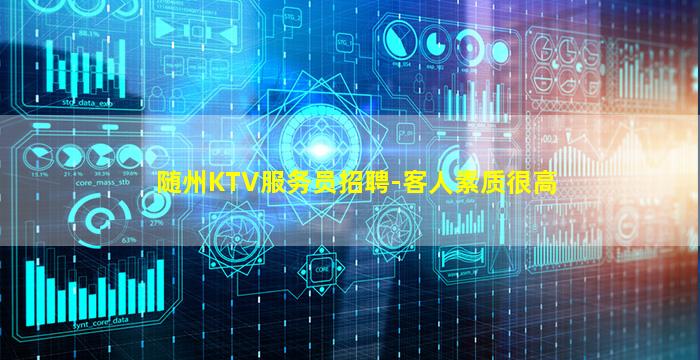 随州KTV服务员招聘-客人素质很高